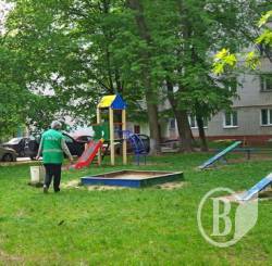 Про двірника Олену Мороз, Івасика-телесика і добрий ранок у Чернігові Про двірника Олену Мороз, Івасика-телесика і добрий ранок у Чернігові